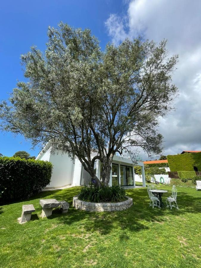 Fonte Do Forno Villas Afife Exteriér fotografie