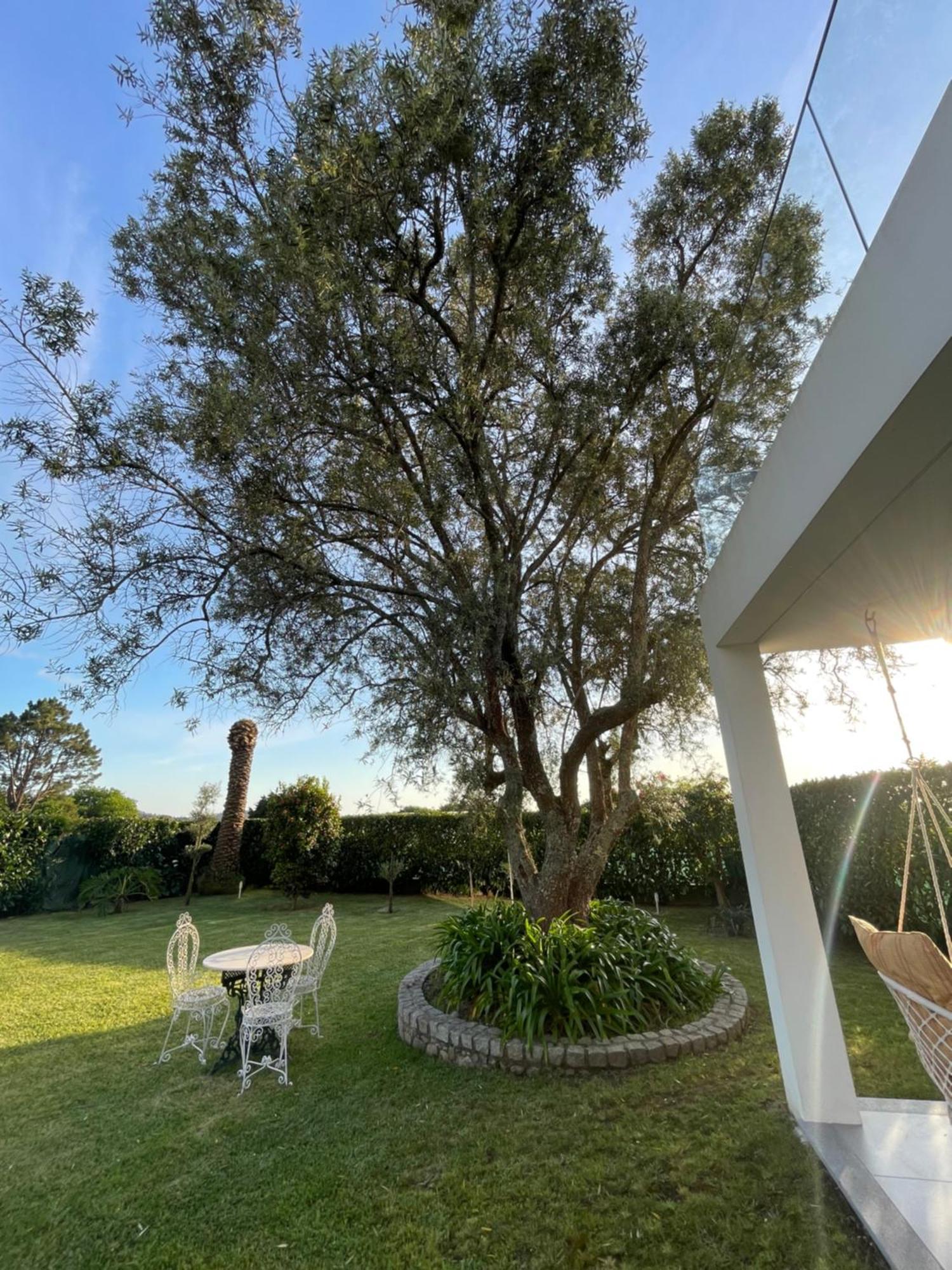 Fonte Do Forno Villas Afife Exteriér fotografie